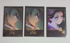 鬼滅の刃 無限城編 ティザービジュアル チェキ風ブロマイド 行冥 珠世