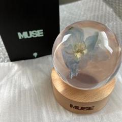 BTS ジミン MUSE ペーパーウェイト m80007644911_1.jpg?1725502211
