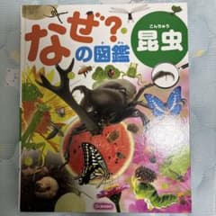 なぜ？の図鑑 昆虫 学研のサムネイル