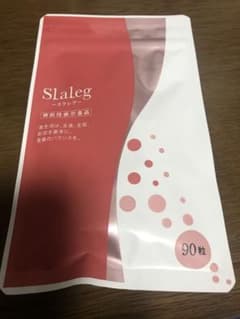 Slaleg スラレグのサムネイル