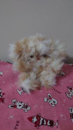 ふわふわ ぬいぐるみ モールドールのサムネイル