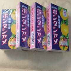 南国特産ボンタンアメ56粒のサムネイル