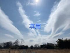 紙モノ好きマリン様　専用　です(o^^o)のサムネイル