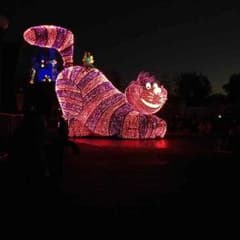 パラライシスス様専用☆のサムネイル