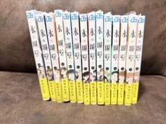 氷の城壁 1-14巻 全巻セット - メルカリ