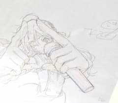 ANIPLEX 아이돌 마스터 아이머스 호시이 미키 생원화 당선품