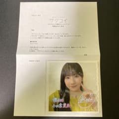 m80040303671_1.jpg?1732803015