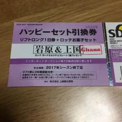 上越国際＆岩原スキー場 大人+子供リフトロング1日券のサムネイル