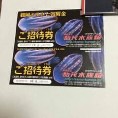 山形県鶴岡市立加茂水族館、クラゲドリーム館のサムネイル