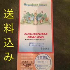 mai様専用【1日乗り放題】ナガシマスパーランド パスポート一人分のサムネイル
