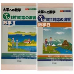プレ　1対1対応の演習　数学B 数学IIのサムネイル