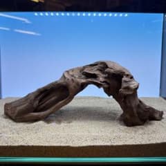 MRW-7240 自立赤系天然流木 アーチ流木 45cm水槽用流木 アクアリウム
