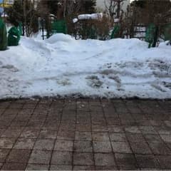 珈琲くんのサムネイル