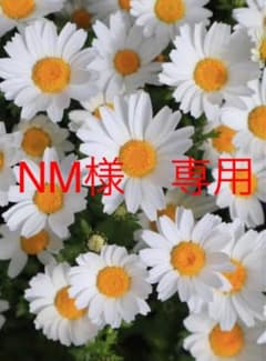 ホワイトウォレット　NM様専用のサムネイル