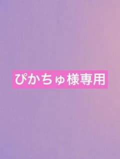 ぴかちゅ様専用のサムネイル