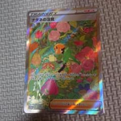 ポケモンカード ナタネの活気SARのサムネイル