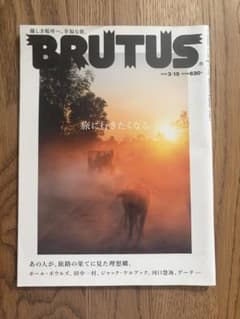 BRUTUS 2013年3月15日号 旅特集のサムネイル