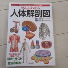 ぜんぶわかる人体解剖図 : 系統別・部位別にわかりやすくビジュアル解説のサムネイル