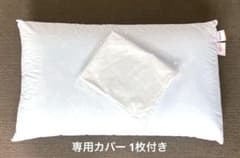 カタログハウス 通販生活 イタリア製 ファベ社 fabeメディカル枕