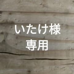いたけ様専用 ゆきめフィギュア - メルカリ