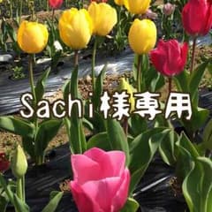 Sachi様専用  イーハイフン  タンクトップのサムネイル