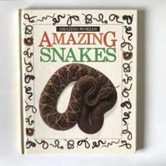 洋書 Amazing Worlds AMAZING SNAKES 児童書 ヘビ - メルカリ