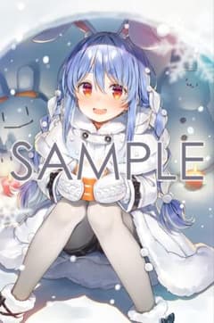 C103 兎田ぺこら B2タペストリー 憂姫はぐれ WIREFRAME - メルカリ