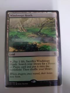 MTG 吹きさらしの荒野 英語のサムネイル