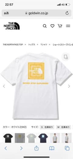 ノースフェイス　THE NORTH FACE TシャツLサイズのサムネイル