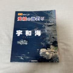 愛媛の海釣り宇和海 : 空撮ポイントのサムネイル