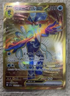 ウェーニバルURのサムネイル