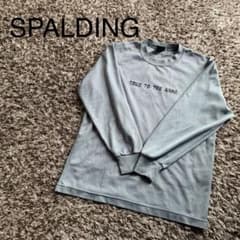 SPALDINGロンTのサムネイル