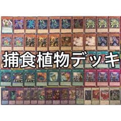 捕食植物 プレデタープランツ デッキ 遊戯王 Predaplant deck d - メルカリ