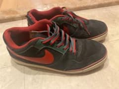 GOワンダーランド様　専用　NIKE SB スニーカー　GUCCIカラーのサムネイル