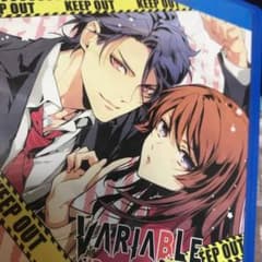VARIABLE BARRICADE バリアブルバリケードのサムネイル