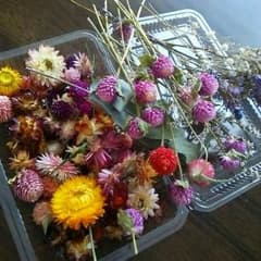 ドライフラワー花材ミックス  １点のみのサムネイル