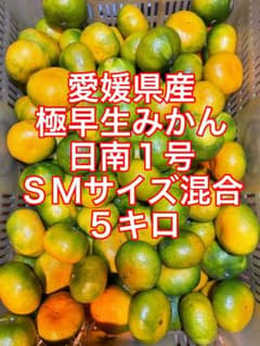 愛媛県産極早生みかん【日南1号】S.Mサイズ混合5キロのサムネイル
