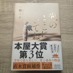 光のとこにいてね 一穂ミチ著のサムネイル