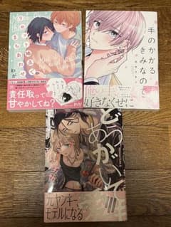どうあがいても愛　手のかかるきみなので　リセット地点でまちあわせのサムネイル