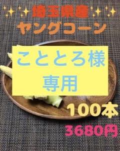 専用になります。１００本➕おまけ最低5本！ヤングコーンのサムネイル