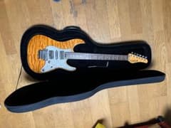 Schecter sd-2-24-bw modのサムネイル