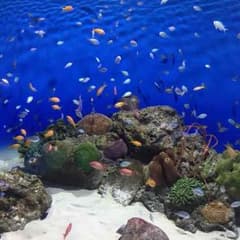 てぃもらぶ様専用のサムネイル