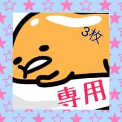 たくみ様専用☆初心者マークのサムネイル