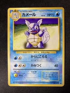 【美品】カメール 旧裏　Wartortleのサムネイル