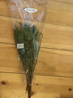 ドライフラワー 緑色 保存用　ジオラマ　植栽のサムネイル