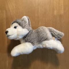 リアルドッグコレクション REGAL ハスキー犬 ぬいぐるみのサムネイル