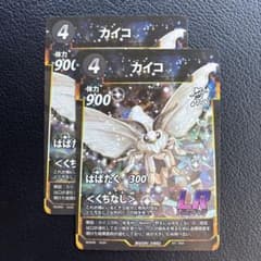 カイコ LR 2枚 蟲神器 虫神器 - メルカリ