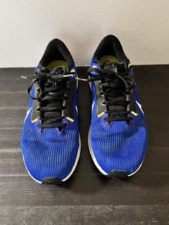Nike エアズームペガサス40 26.5cmのサムネイル