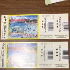 ナガシマスパーランド ジャンボ海水プール 入場券(なばなの里入園無料券付き)のサムネイル