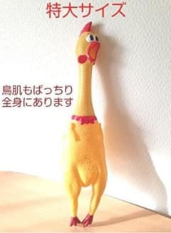 Shrilling Chicken  【特大サイズ】のサムネイル